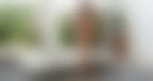 Alexa's Audition
